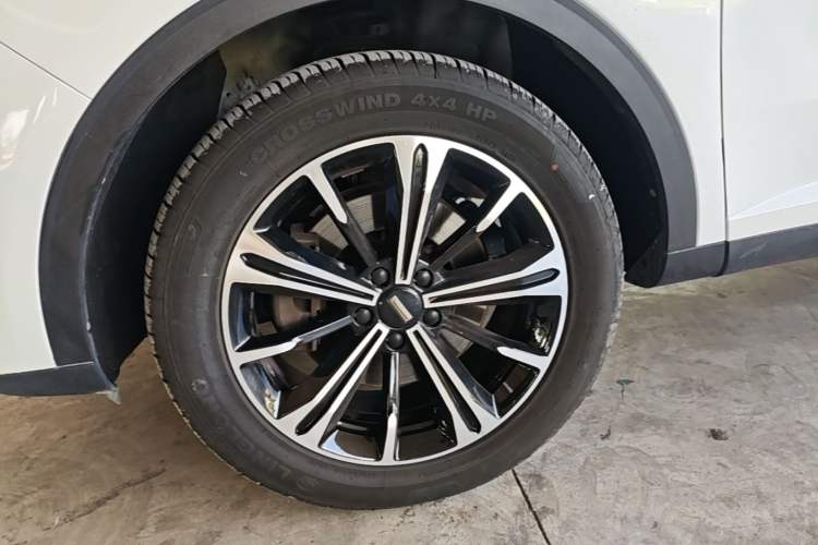 Used Wey VV6 2021 2.0T Two-Wheel Drive Smart Protection+ Exterior 4