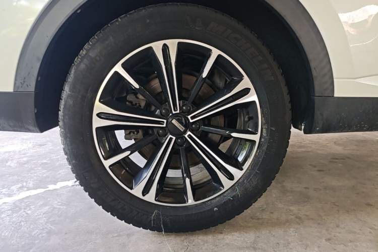 Used Wey VV6 2021 2.0T Two-Wheel Drive Smart Protection+ Exterior 5