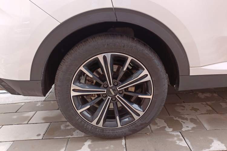 Used Wey VV6 2021 2.0T Two-Wheel Drive Smart Protection+ Exterior 8