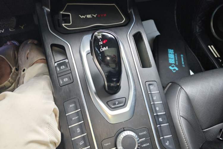 Used Wey VV6 2021 2.0T Two-Wheel Drive Smart Plus Gear Lever