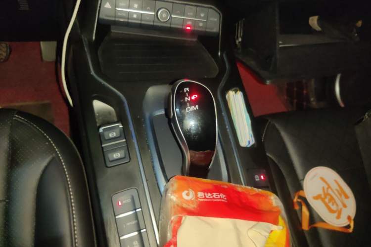 Used Wey VV6 2021 2.0T Two-Wheel Drive Smart Protection+ Gear Lever