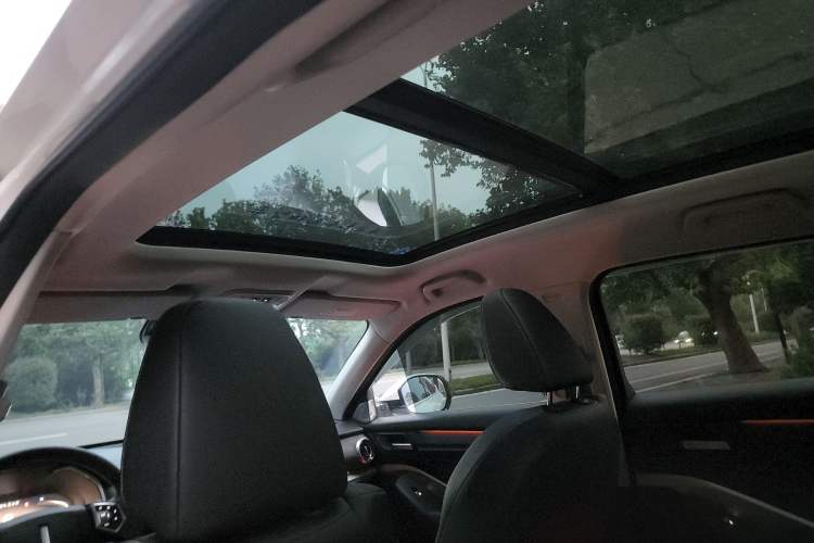 Used Wey VV6 2021 2.0T Two-Wheel Drive Smart Protection+ Headliner