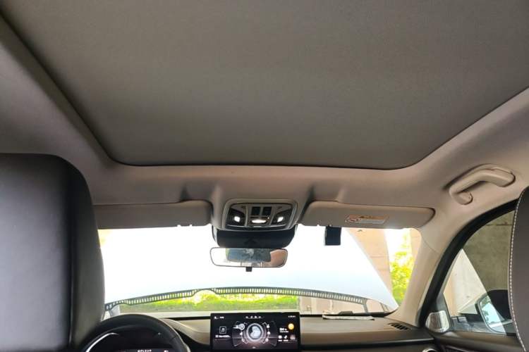 Used Wey VV6 2021 2.0T Two-Wheel Drive Smart Protection+ Headliner