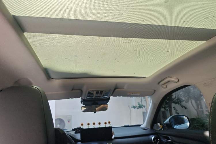 Used Wey VV6 2021 2.0T Two-Wheel Drive Smart Protection+ Headliner