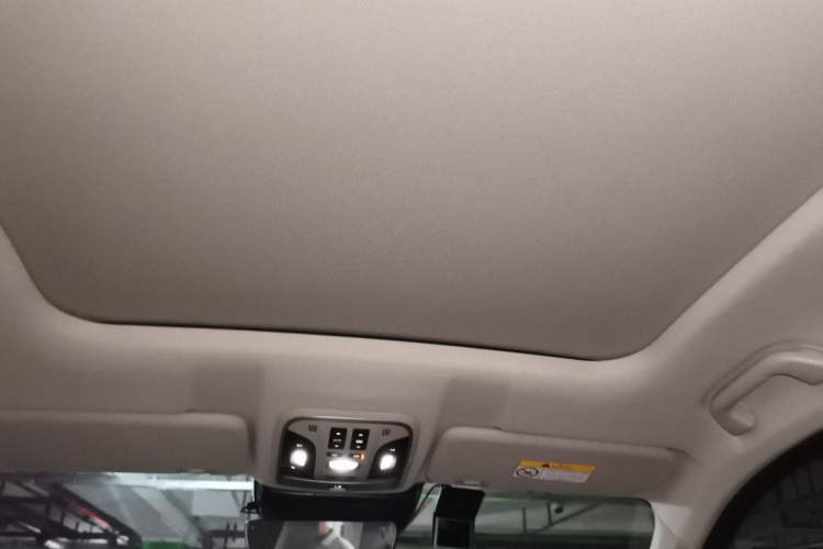 Used Wey VV6 2021 2.0T Two-Wheel Drive Smart Protection+ Headliner