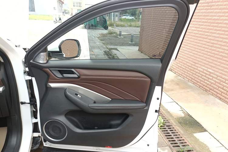 Used Wey VV6 2021 2.0T Two-Wheel Drive Smart Protection+ Interior 5