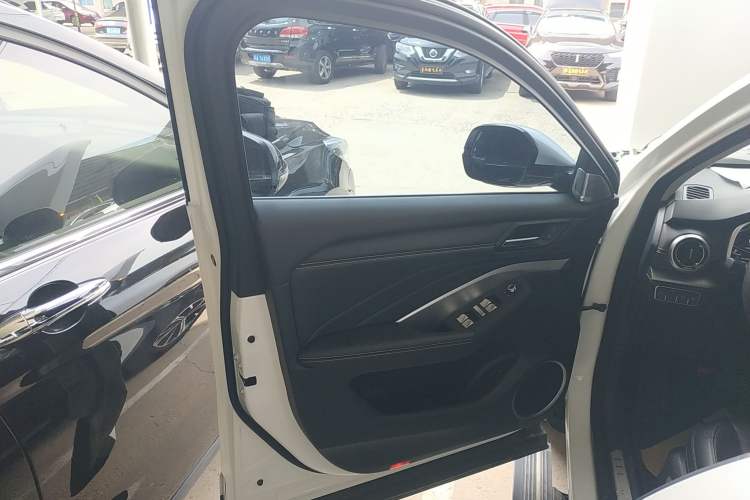 Used Wey VV6 2021 2.0T Two-Wheel Drive Smart Plus Left Front Door Interior