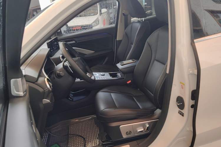 Used Wey VV6 2021 2.0T Two-Wheel Drive Smart Protection+ Left Front Seat