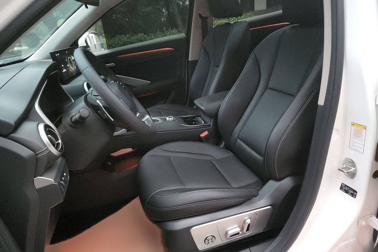 Used Wey VV6 2021 2.0T Two-Wheel Drive Smart Protection+ Left Front Seat