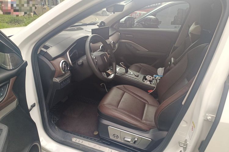 Used Wey VV6 2021 2.0T Two-Wheel Drive Smart Protection+ Left Front Seat