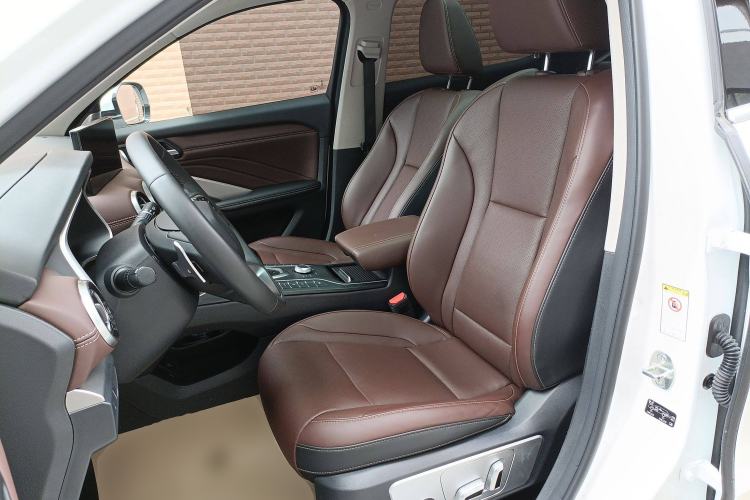 Used Wey VV6 2021 2.0T Two-Wheel Drive Smart Protection+ Left Front Seat