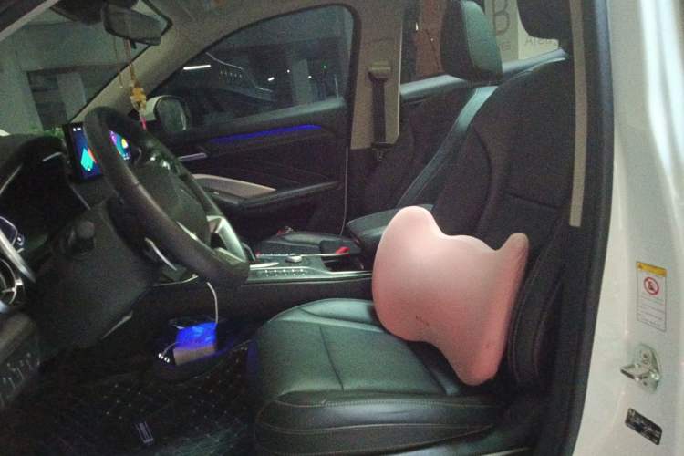 Used Wey VV6 2021 2.0T Two-Wheel Drive Smart Protection+ Left Front Seat