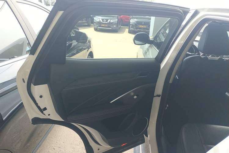 Used Wey VV6 2021 2.0T Two-Wheel Drive Smart Plus Left Rear Door Interior