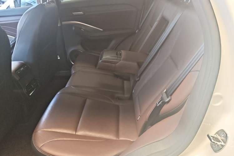 Used Wey VV6 2021 2.0T Two-Wheel Drive Smart Plus Left Rear Seat