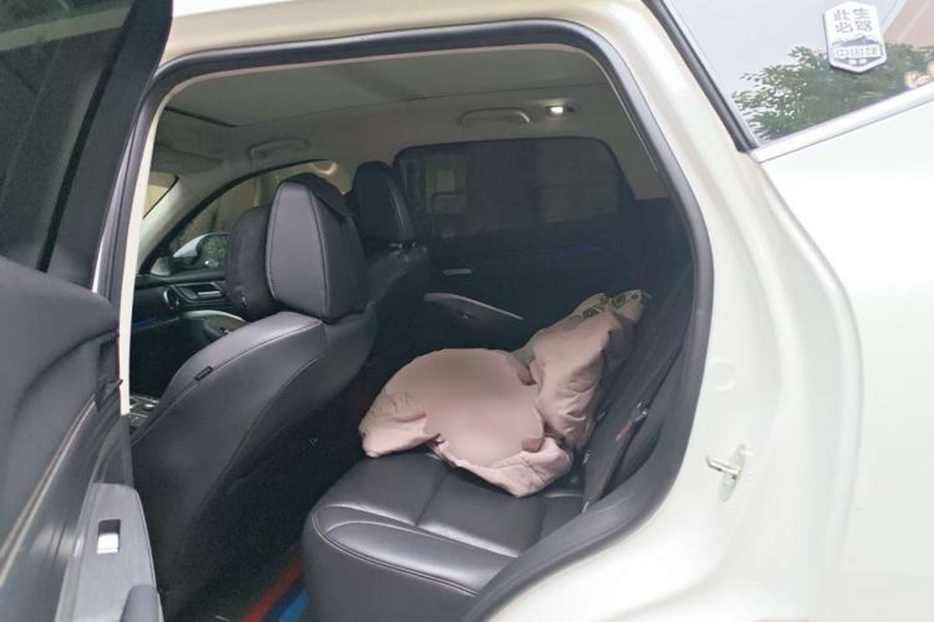 Used Wey VV6 2021 2.0T Two-Wheel Drive Smart Plus Left Rear Seat
