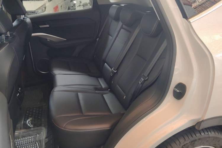 Used Wey VV6 2021 2.0T Two-Wheel Drive Smart Protection+ Left Rear Seat