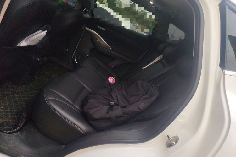 Used Wey VV6 2021 2.0T Two-Wheel Drive Smart Protection+ Left Rear Seat