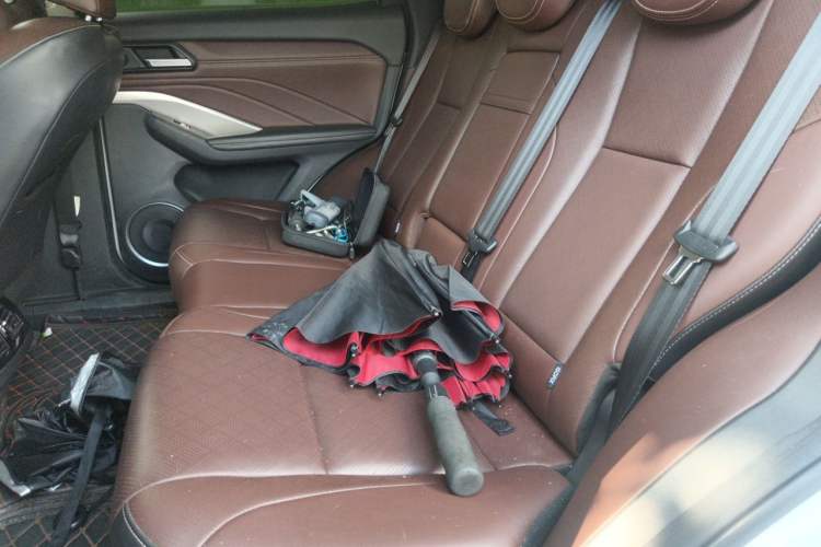 Used Wey VV6 2021 2.0T Two-Wheel Drive Smart Plus Left Rear Seat