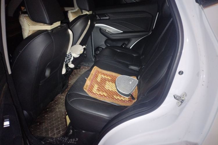 Used Wey VV6 2021 2.0T Two-Wheel Drive Smart Plus Left Rear Seat