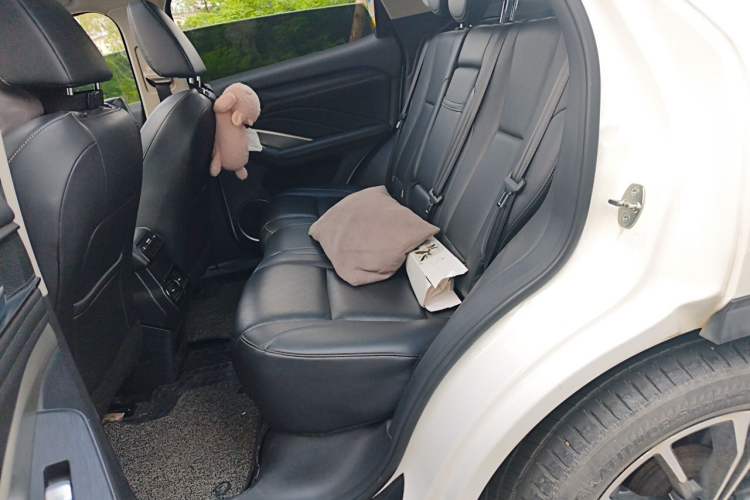 Used Wey VV6 2021 2.0T Two-Wheel Drive Smart Plus Left Rear Seat