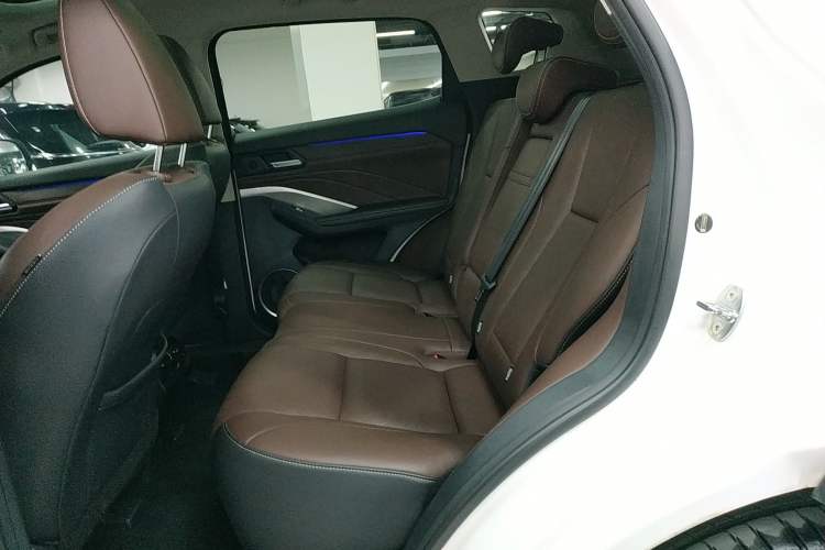 Used Wey VV6 2021 2.0T Two-Wheel Drive Smart Plus Left Rear Seat