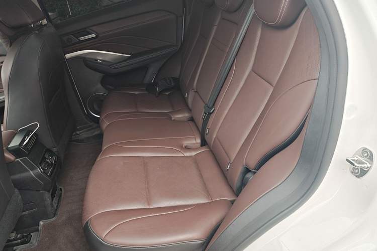 Used Wey VV6 2021 2.0T Two-Wheel Drive Smart Plus Left Rear Seat