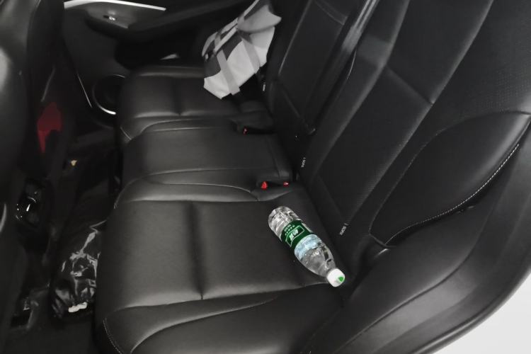 Used Wey VV6 2021 2.0T Two-Wheel Drive Smart Protection+ Left Rear Seat