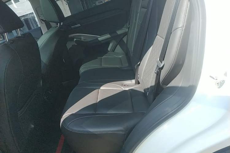 Used Wey VV6 2021 2.0T Two-Wheel Drive Smart Plus Left Rear Seat