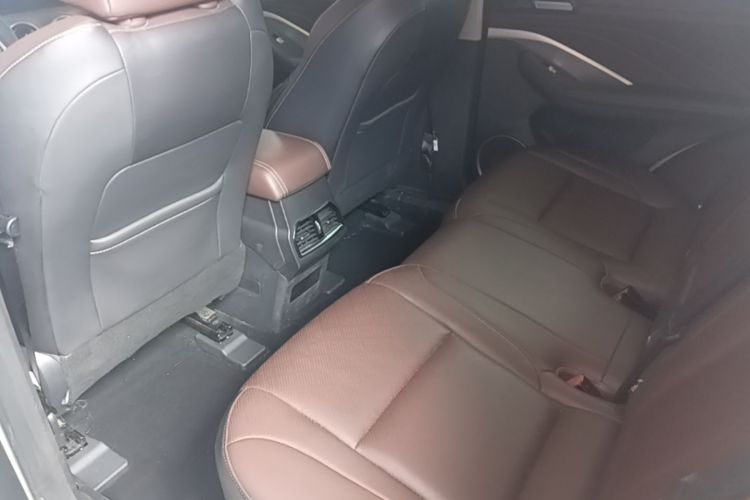Used Wey VV6 2021 2.0T Two-Wheel Drive Smart Protection+ Left Rear Seat