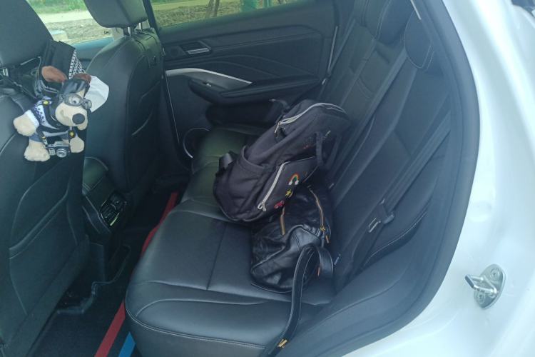 Used Wey VV6 2021 2.0T Two-Wheel Drive Smart Protection+ Left Rear Seat
