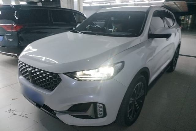 Used Wey VV6 2021 2.0T Two-Wheel Drive Smart Protection+