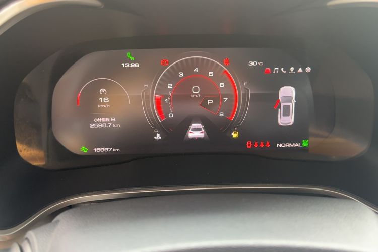 Used Wey VV6 2021 2.0T Two-Wheel-Drive Child-Care Edition Odometer Close Up