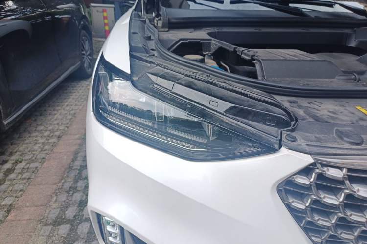 Used Wey VV6 2021 2.0T Two-Wheel Drive Smart Protection+ Right Front Headlight