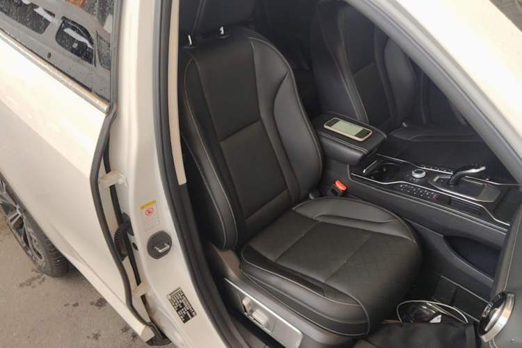 Used Wey VV6 2021 2.0T Two-Wheel Drive Smart Protection+ Right Front Seat
