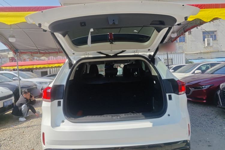 Used Wey VV6 2021 2.0T Two-Wheel Drive Smart Protection+ Trunk