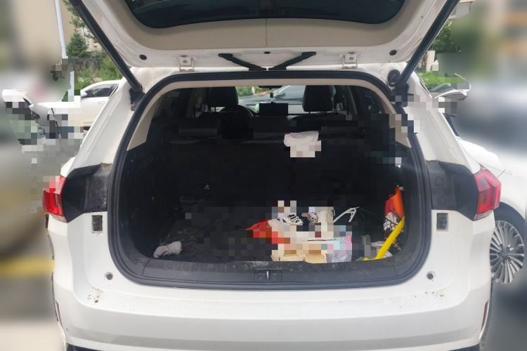 Used Wey VV6 2021 2.0T Two-Wheel Drive Smart Protection+ Trunk