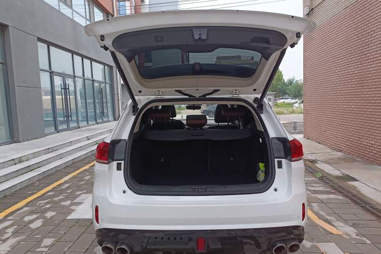 Used Wey VV6 2021 2.0T Two-Wheel Drive Smart Protection+ Trunk