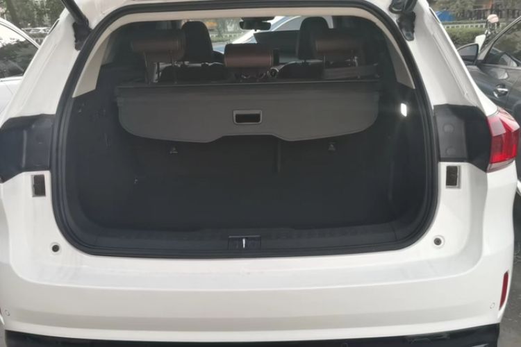 Used Wey VV6 2021 2.0T Two-Wheel Drive Smart Protection+ Trunk