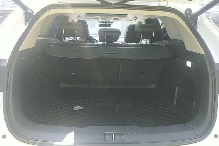 Used Wey VV6 2021 2.0T Two-Wheel Drive Smart Plus Trunk