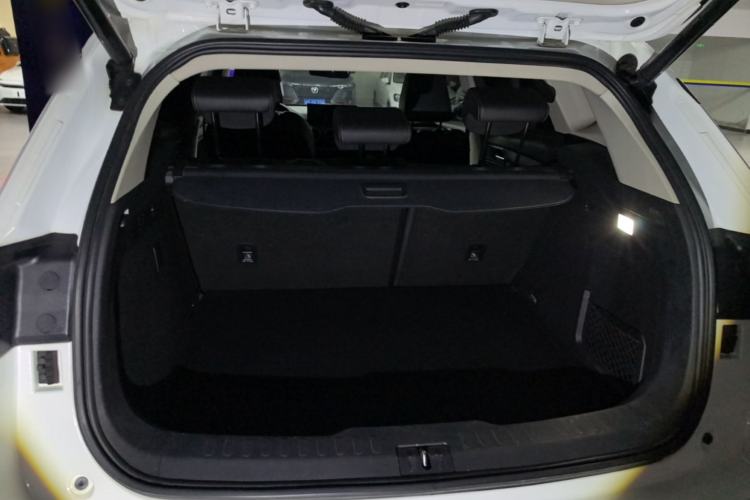 Used Wey VV6 2021 2.0T Two-Wheel Drive Smart Protection+ Trunk