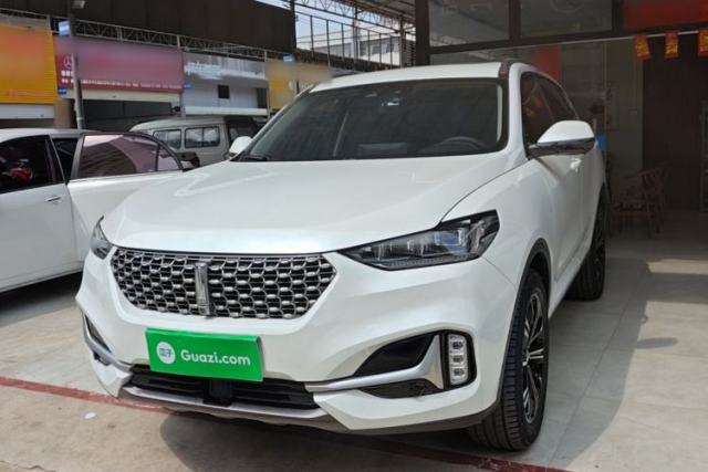 Used Wey VV6 2021 2.0T Two-Wheel-Drive Child-Care Edition