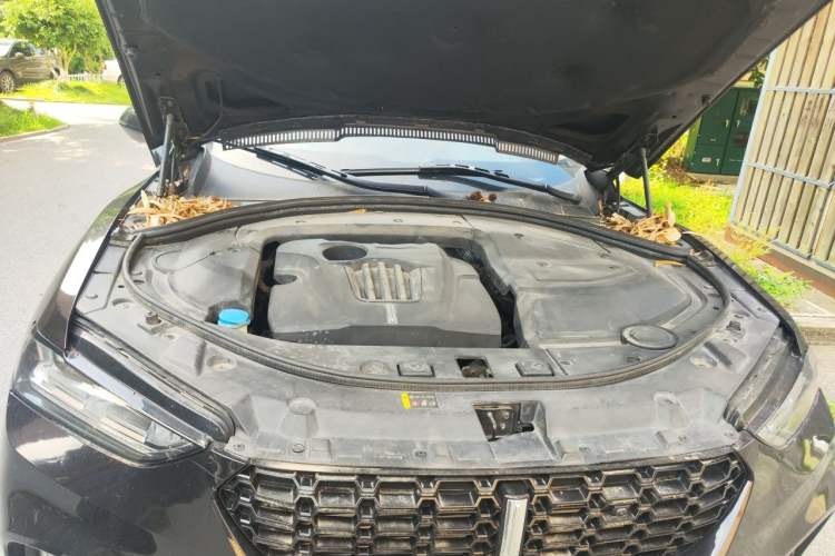 Used Wey VV7 2017 2.0T Ultra-Luxury Version Engine Bay