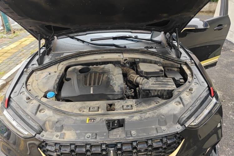 Used Wey VV7 2017 2.0T Ultra-Luxury Version Engine Bay
