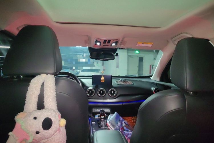 Used Wey VV7 2017 2.0T Ultra-Luxury Version Headliner