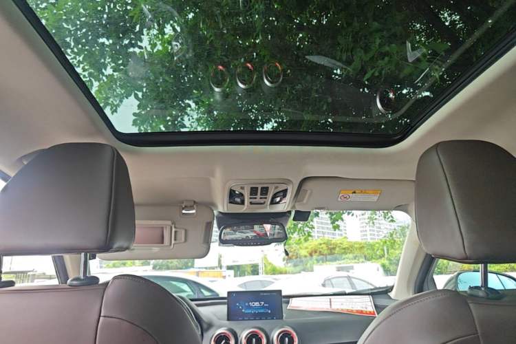 Used Wey VV7 2017 2.0T Ultra-Luxury Version Headliner