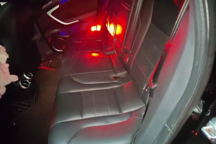 Used Wey VV7 2017 2.0T Ultra-Luxury Version Left Rear Seat