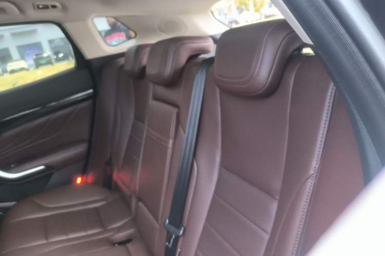 Used Wey VV7 2017 2.0T Ultra-Luxury Version Left Rear Seat