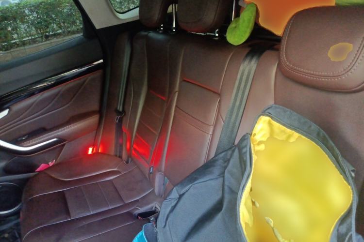 Used Wey VV7 2017 2.0T Flagship Model Left Rear Seat