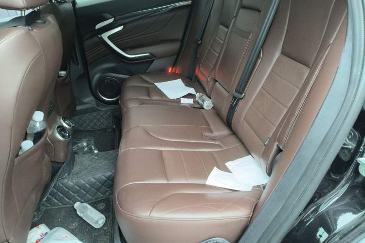 Used Wey VV7 2017 2.0T Ultra-Luxury Version Left Rear Seat