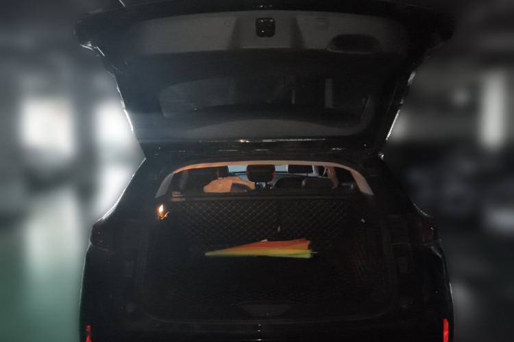 Used Wey VV7 2017 2.0T Ultra-Luxury Version Trunk
